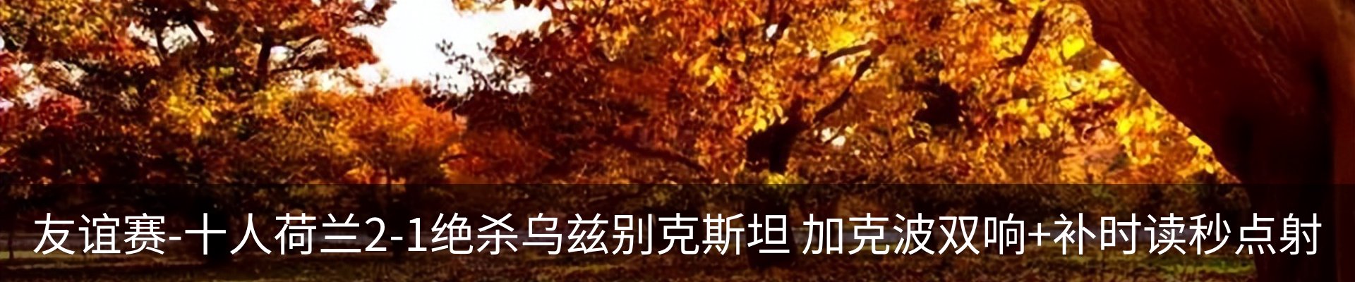 内页banner