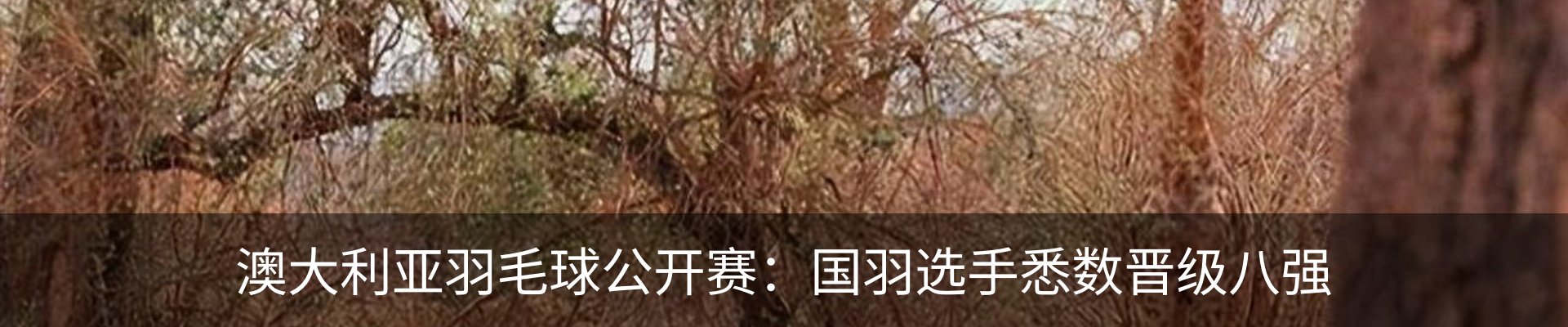 内页banner